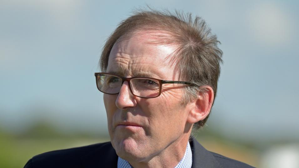 Trainer James Fanshawe